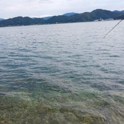 毎度です。ボイル打ちは運次第（汗）